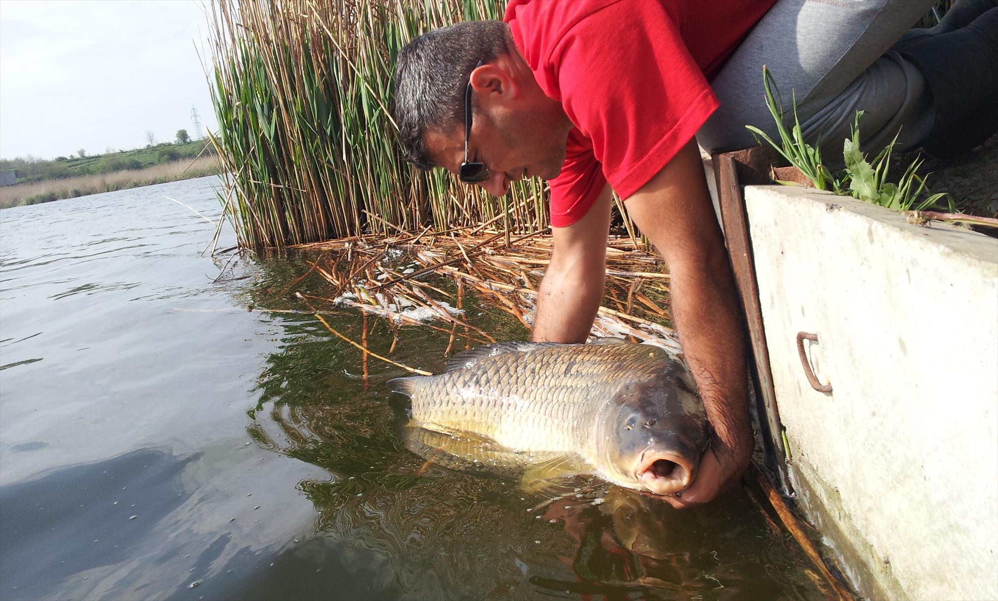 Tancabesti 21 - 22 aprilie 2014 - 20140422095704.jpg